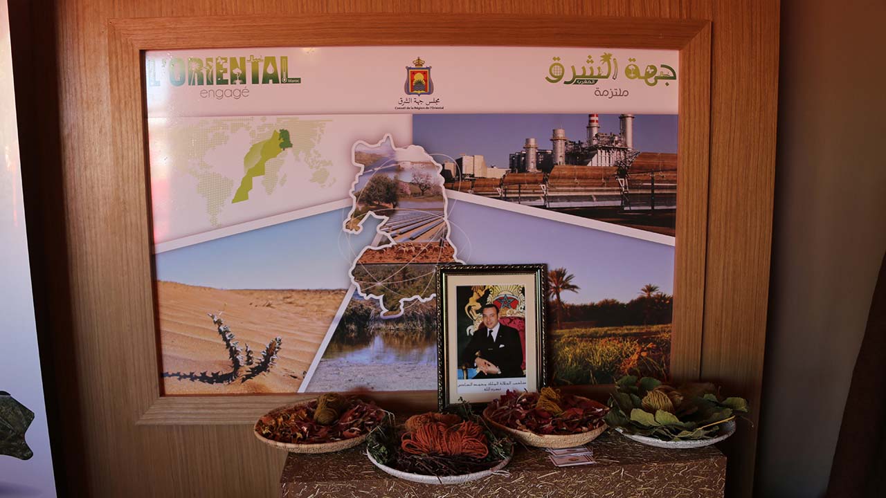 Photo de la région de l'Oriental - COP 22